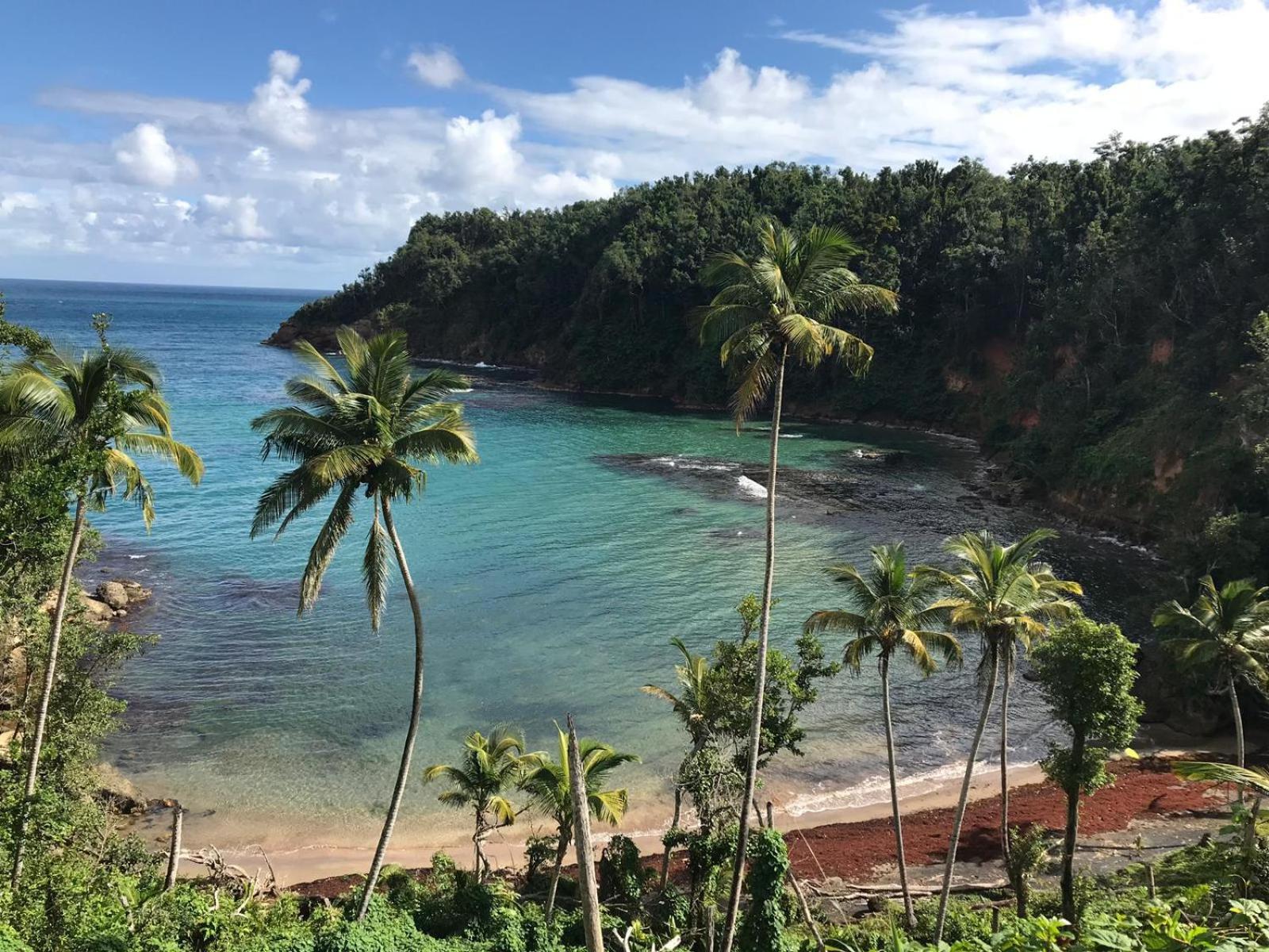 Italian Guesthouse Gros Islet Exterior foto